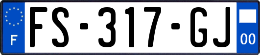 FS-317-GJ