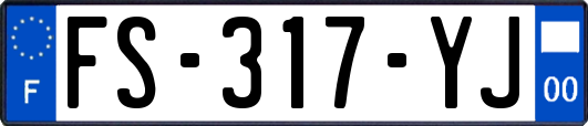 FS-317-YJ