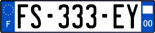 FS-333-EY