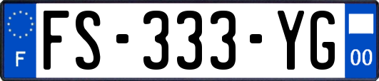 FS-333-YG