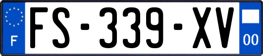 FS-339-XV