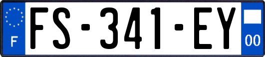 FS-341-EY