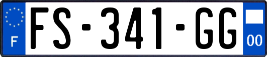 FS-341-GG