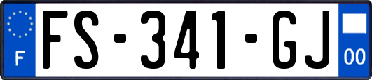 FS-341-GJ