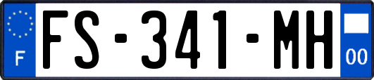 FS-341-MH