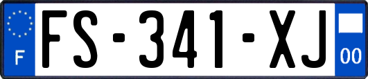 FS-341-XJ