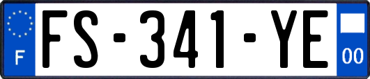 FS-341-YE
