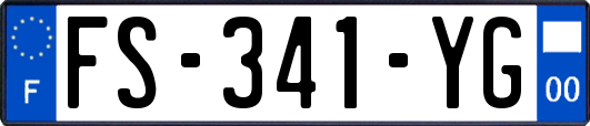 FS-341-YG