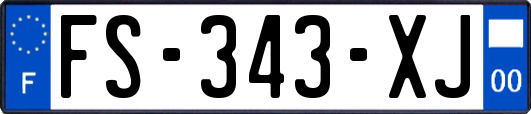 FS-343-XJ