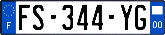 FS-344-YG