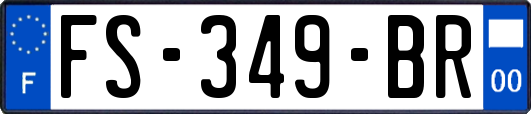 FS-349-BR