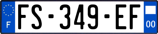 FS-349-EF