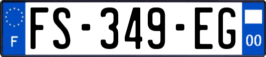FS-349-EG