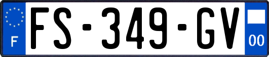 FS-349-GV
