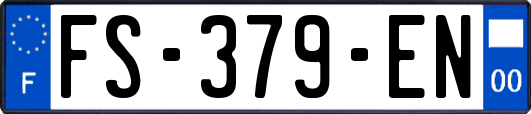 FS-379-EN