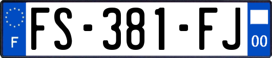 FS-381-FJ