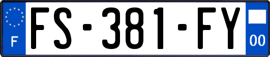 FS-381-FY