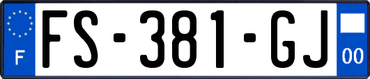FS-381-GJ