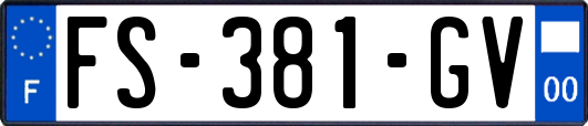 FS-381-GV