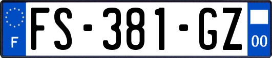 FS-381-GZ
