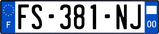 FS-381-NJ