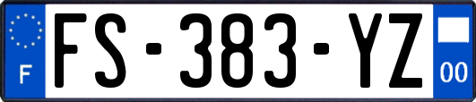 FS-383-YZ