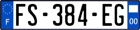 FS-384-EG