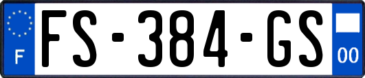 FS-384-GS