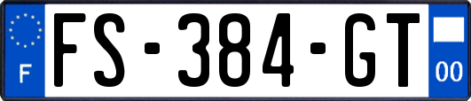 FS-384-GT