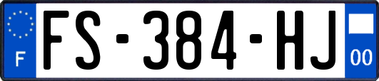 FS-384-HJ