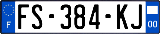 FS-384-KJ