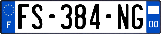 FS-384-NG