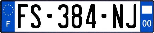 FS-384-NJ