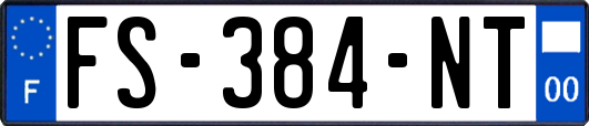 FS-384-NT