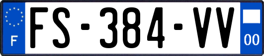 FS-384-VV