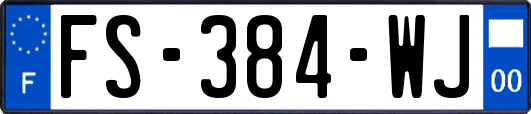 FS-384-WJ