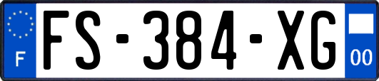 FS-384-XG