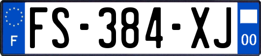 FS-384-XJ