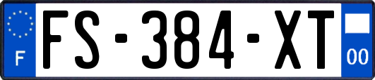 FS-384-XT