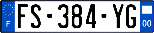 FS-384-YG