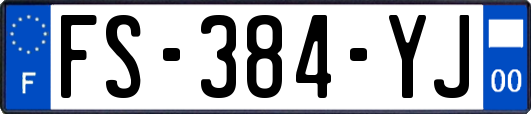 FS-384-YJ