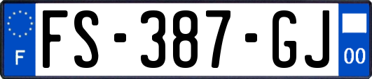FS-387-GJ