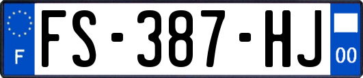 FS-387-HJ