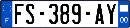 FS-389-AY