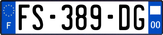 FS-389-DG
