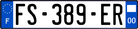FS-389-ER