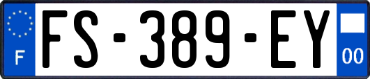 FS-389-EY