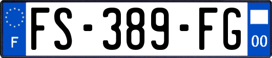 FS-389-FG