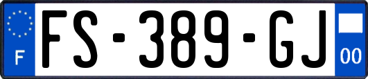 FS-389-GJ