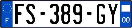 FS-389-GY